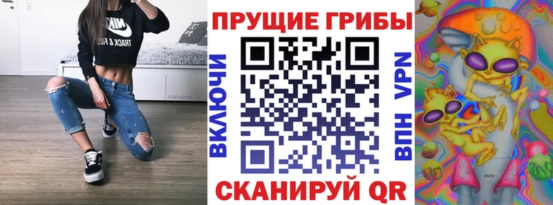 Галлюциногенные грибы Cubensis  hydra вход  Пласт 
